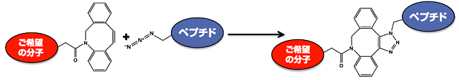 クリックケミストリー修飾サービス図